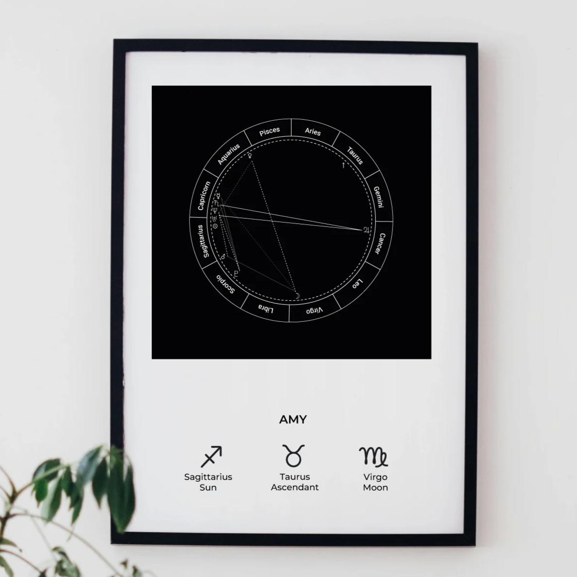 Natal Chart | Polaroid