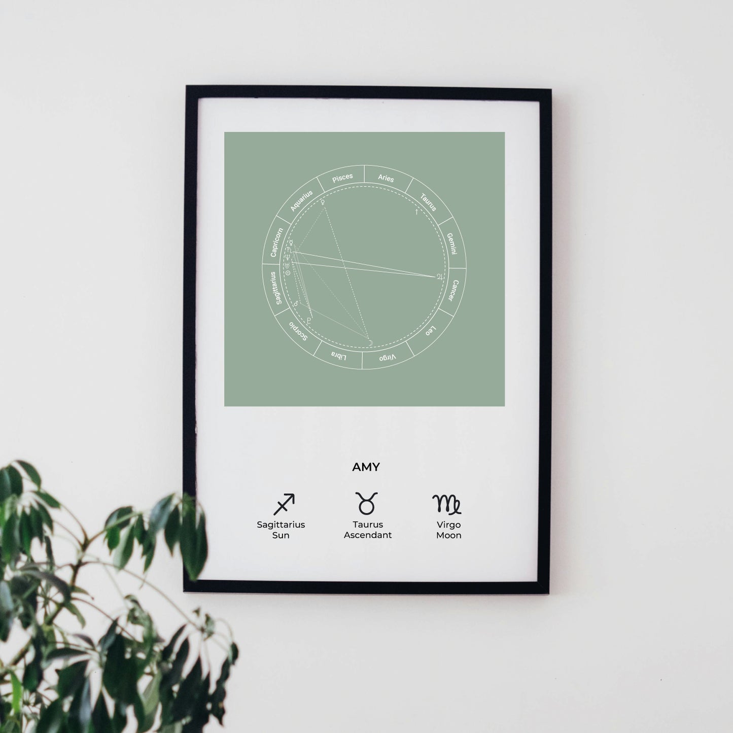 Natal Chart | Polaroid