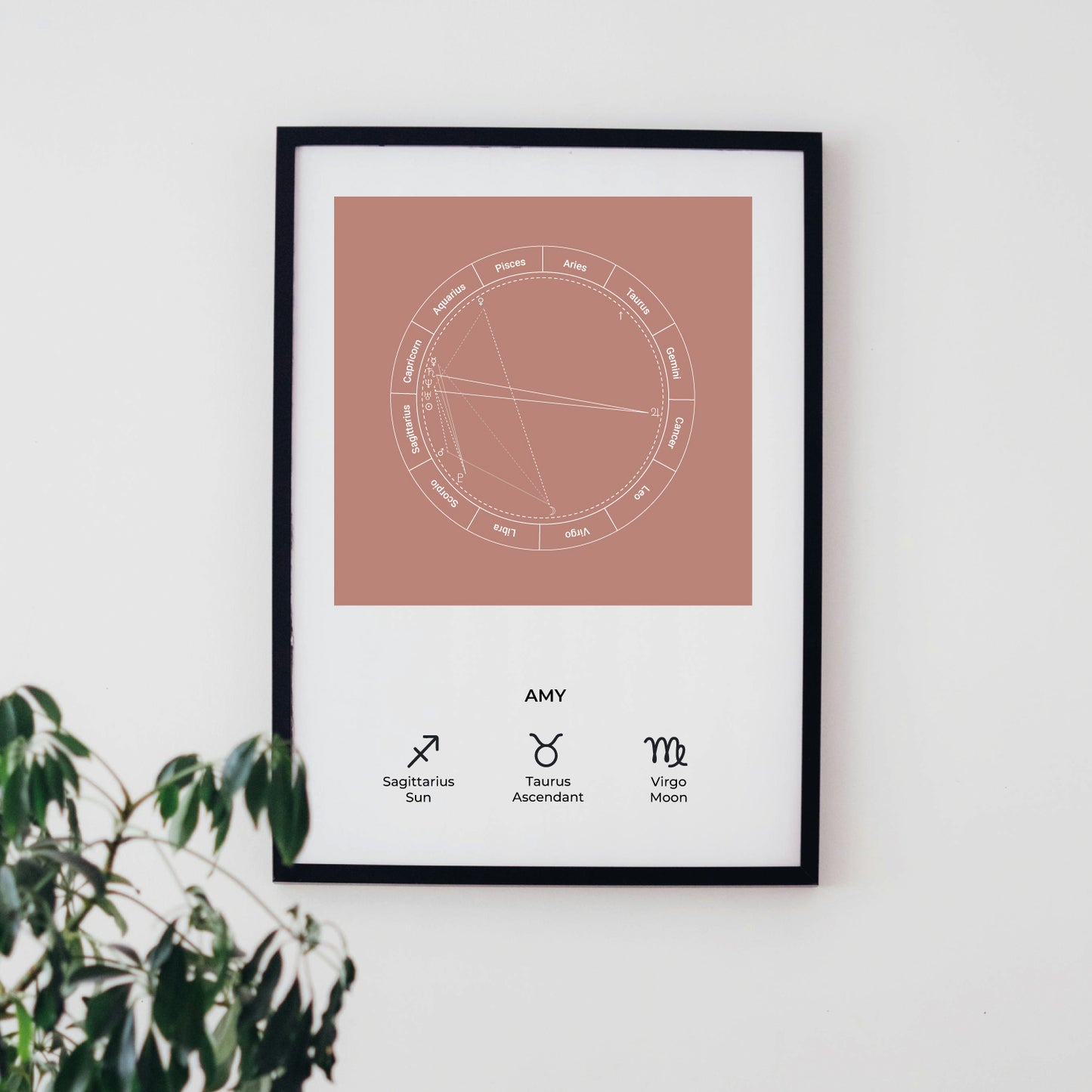 Natal Chart | Polaroid